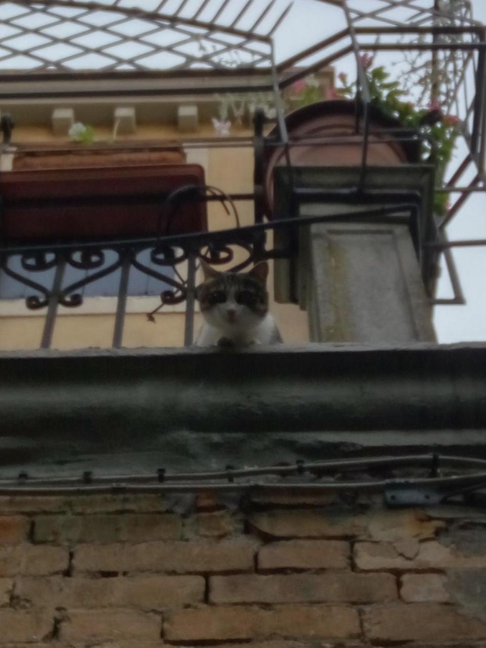 Casa Moresca Venetië Buitenkant foto